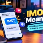 IMO Meaning